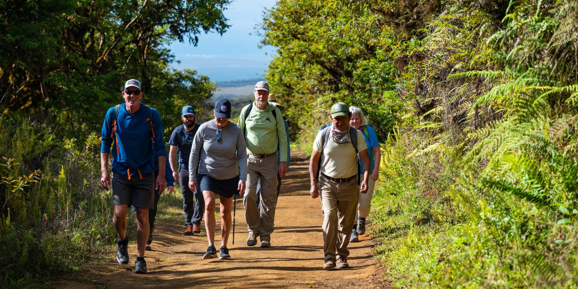 A group of hikers walking through the dense forest on the Galapagos Islands.