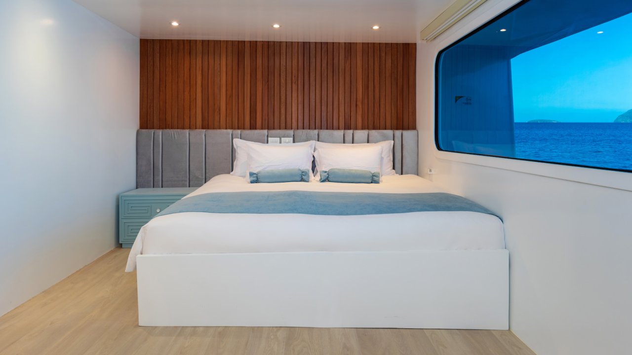King bed stateroom aboard the Golden Galapagos Ocean Spray Ship with Adventure Unbound