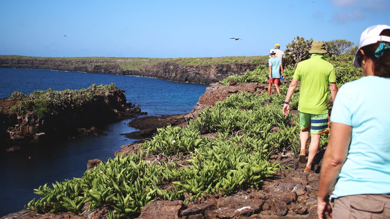 People walking in a line away from the camera on a hike along the water in the Galapagos
