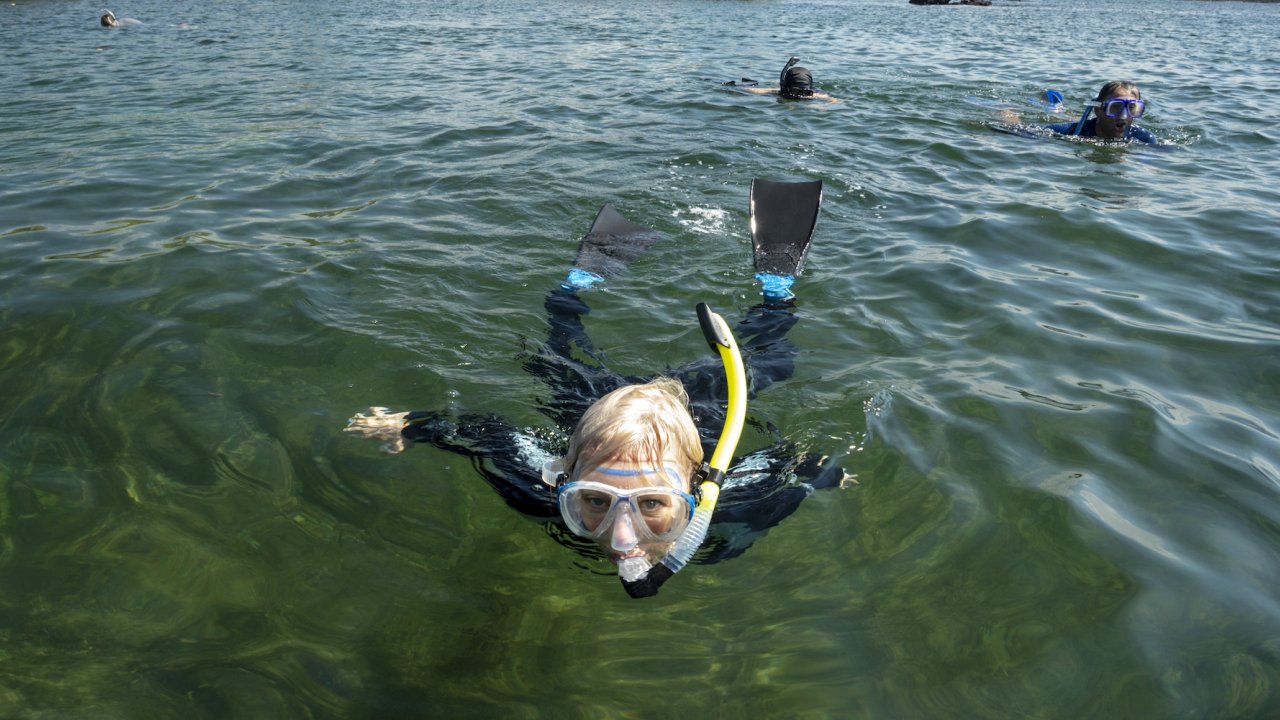 A kid in a snorkel mask swimming towards the camera while two other people snorkel behind him