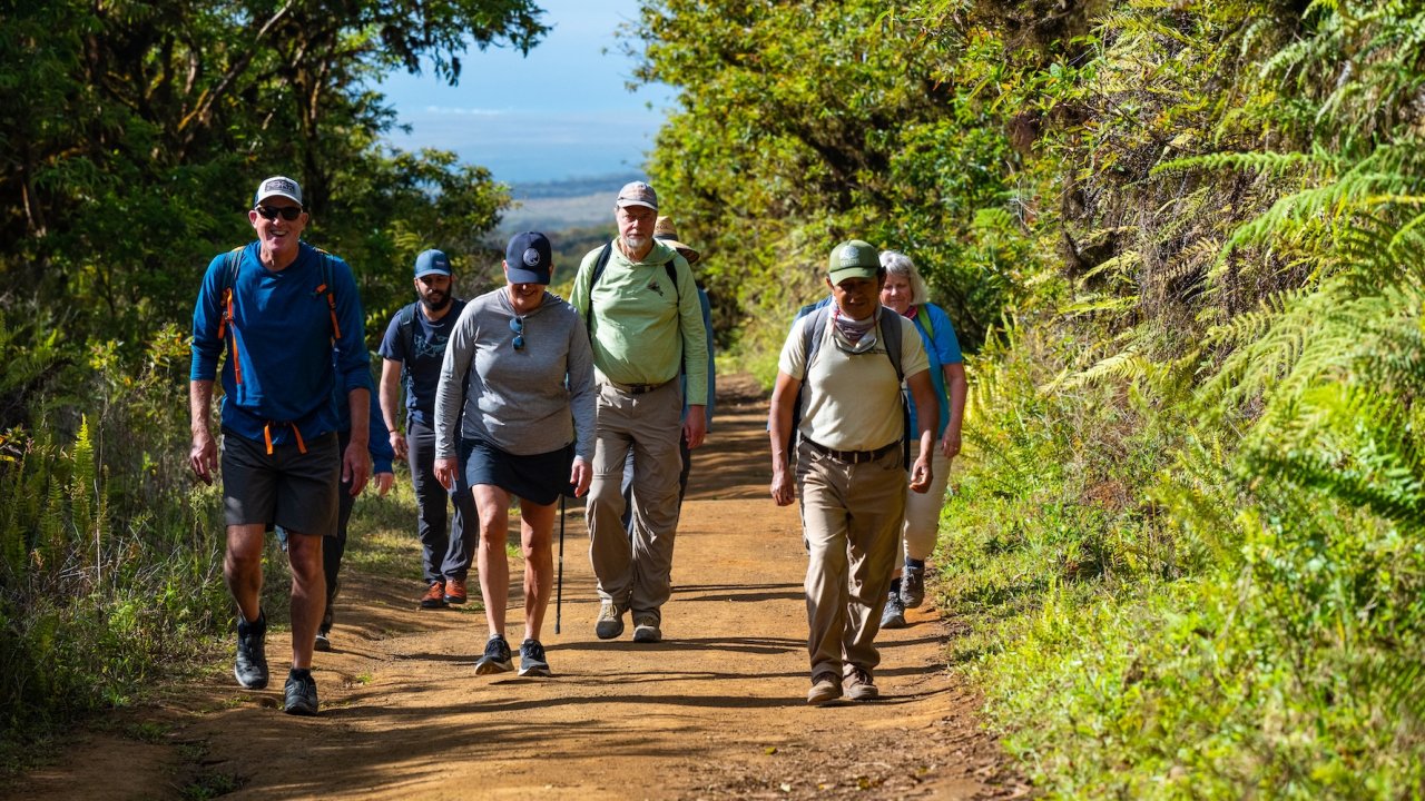Group of travelers hiking through a lush forest trail in the Galapagos Islands during a guided adventure tour.