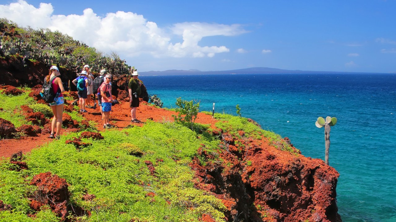 People walking on a beachside cliff with desert sand and green shrubs in the Galapagos
