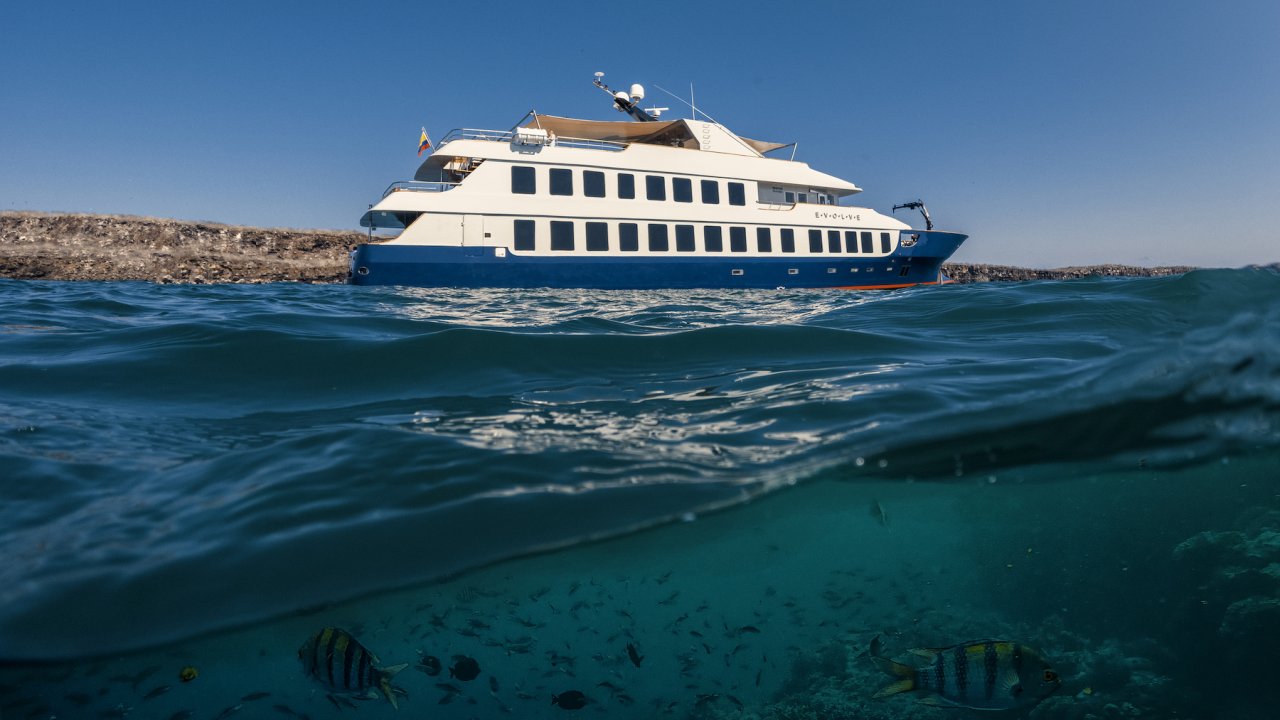 Photo taken half underwater showing fish swimming and a yacht cruising by
