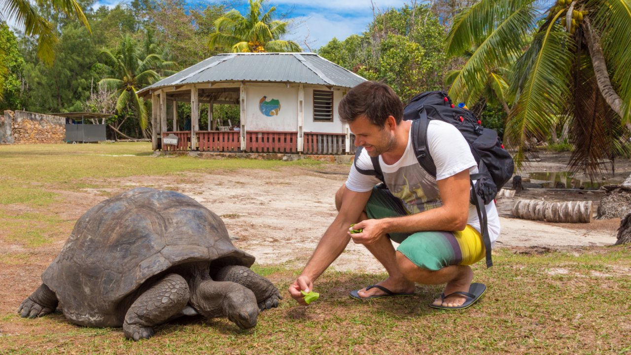 A man giving a flower to a giant Galapagos land tortoise at the Charles Darwin research center in the Galapagos