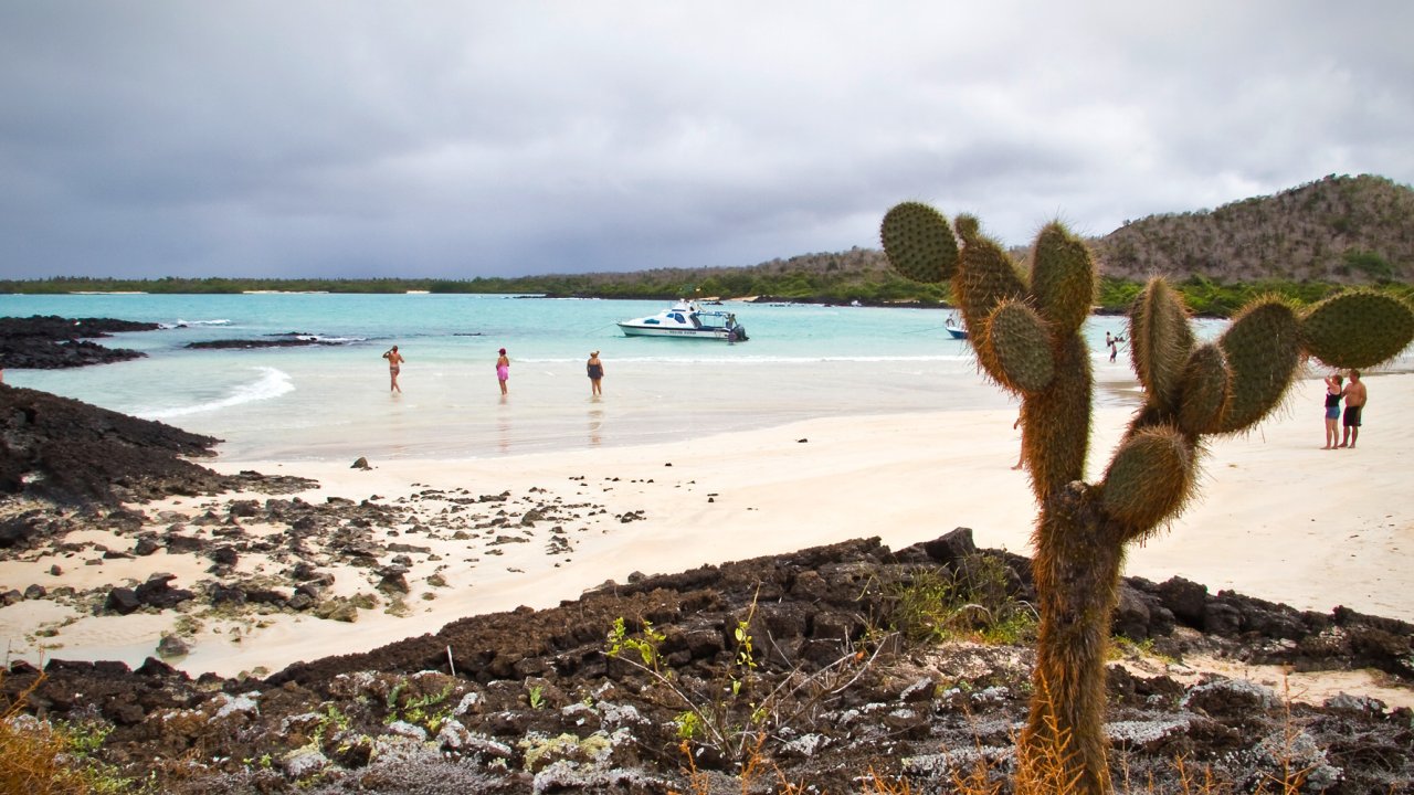 People on a beach with rocks and cacti on a cloudy day
