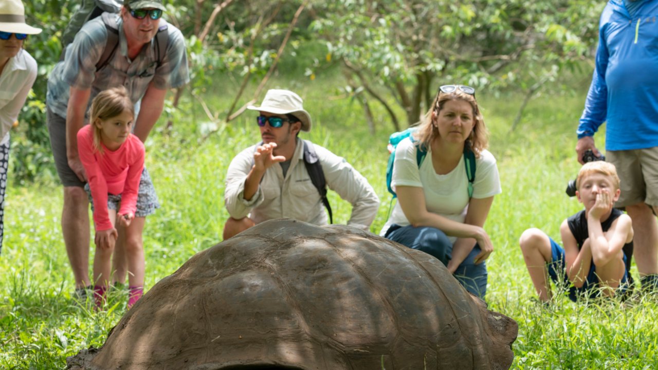 A group of tourists surrounding a giant Galapagos land tortoise listening to their guide explain the animal