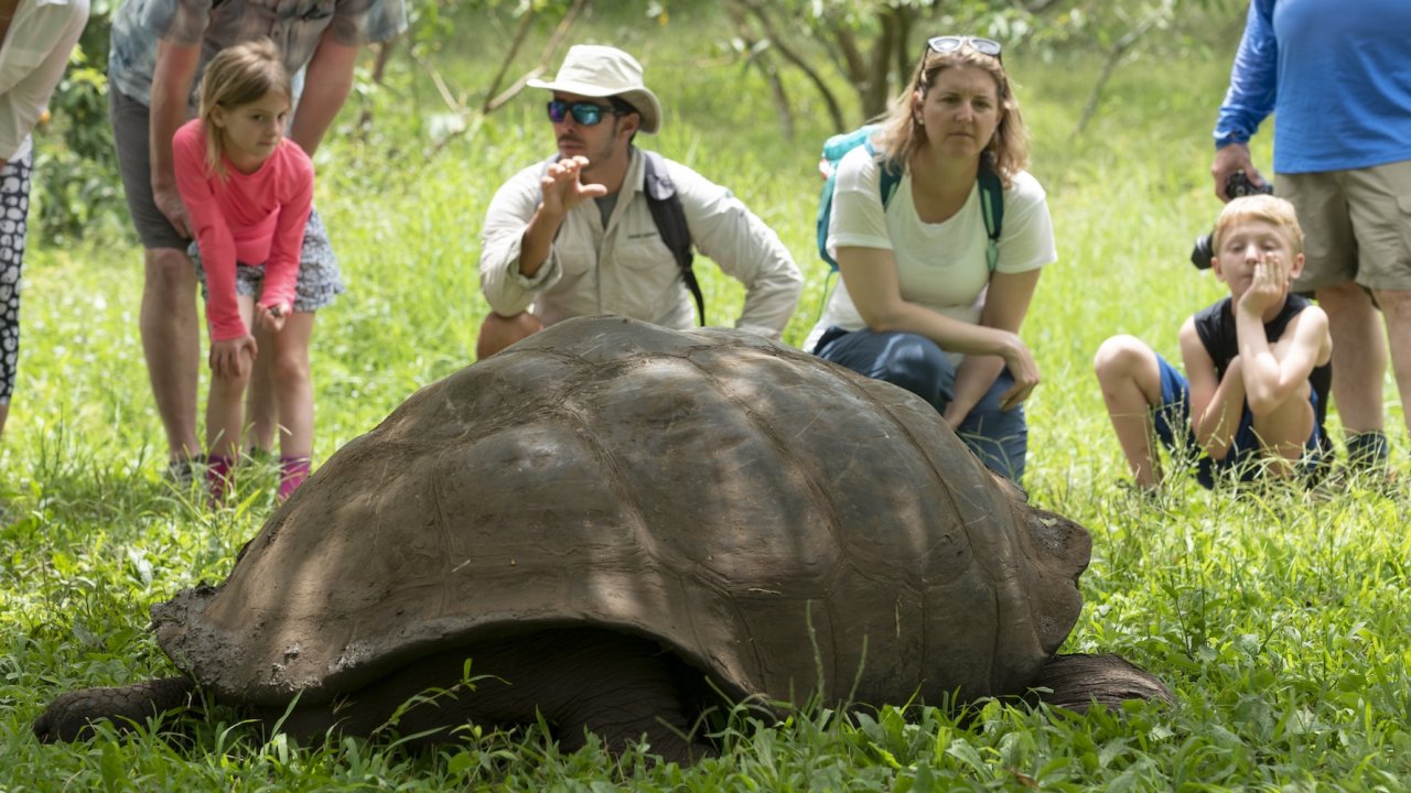 Children and adults gathered around a giant tortoise in a green field during a wildlife encounter on a Galapagos family vacation.