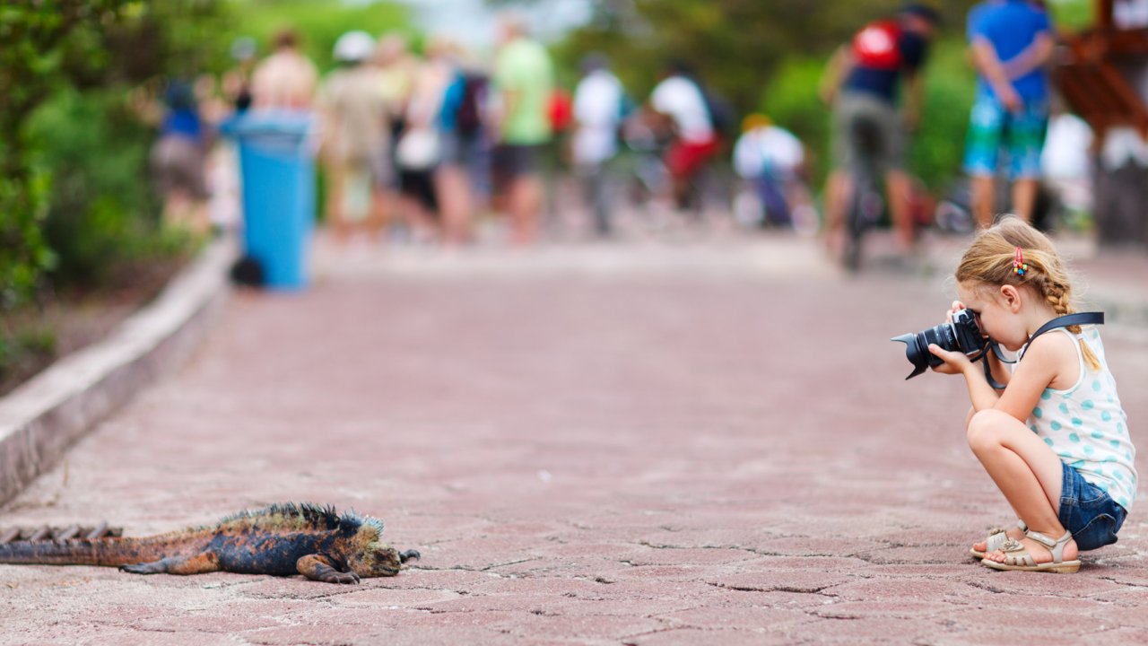Young girl takes a picture of an iguana on the walking path at the Charles Darwin Station in the Galapagos Islands