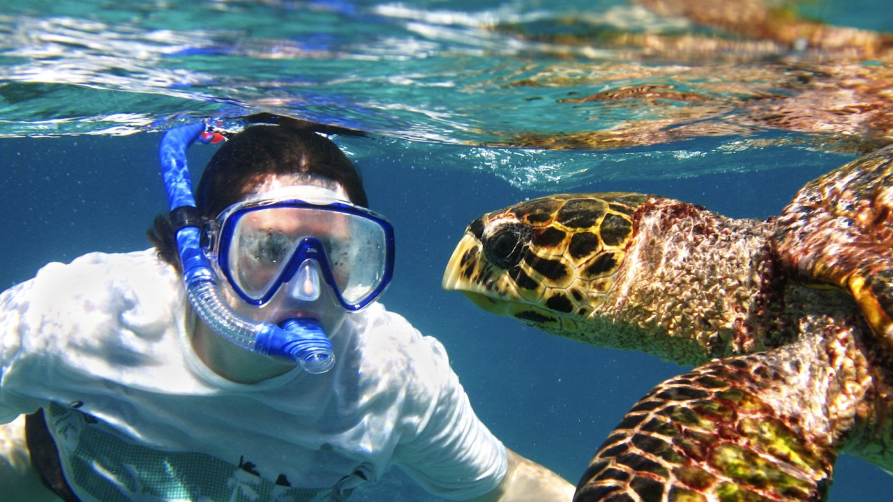 Underwater shot of a person wearing a blue snorkel looking up close as a sea turtle