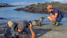 Baby sea lion approaching tourist in Galapagos