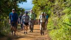 Group of travelers hiking through a lush forest trail in the Galapagos Islands during a guided adventure tour.