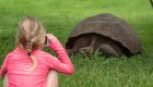 girl taking photo of giant tortoise