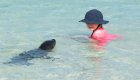 A girl in a pink shirt and sunhat in the turquoise ocean next to a very friendly sea lion swimming up to her 