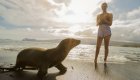 A woman taking a picture of a sea lion at sunset on the beach