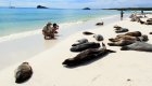 Sea lions on beach in Galapagos