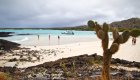 Secluded beach Galapagos Islands