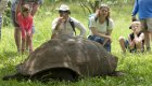 Children and adults gathered around a giant tortoise in a green field during a wildlife encounter on a Galapagos family vacation.